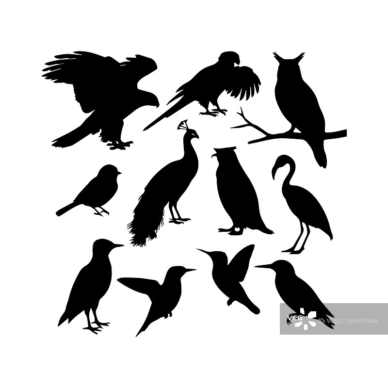 黑鸟剪影图片素材