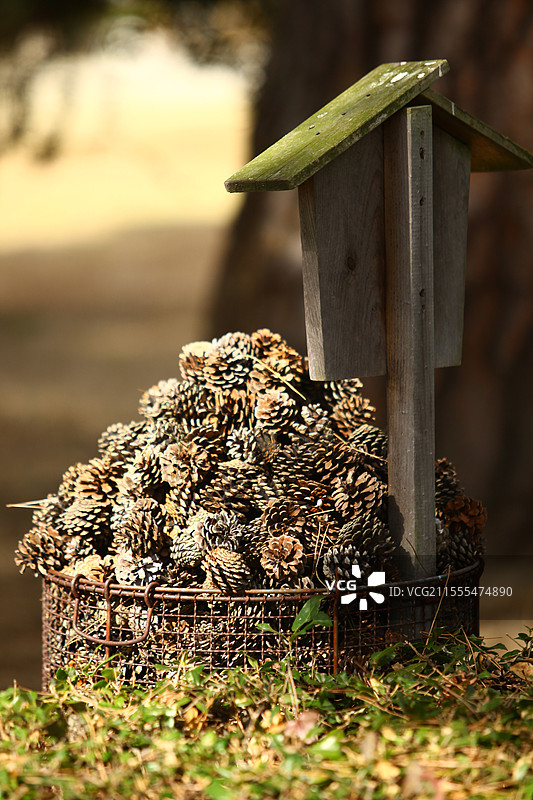 日本濑户内海的艺术博览会图片素材