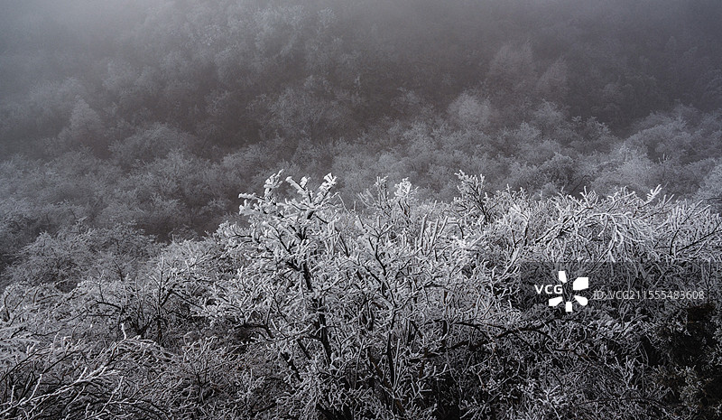 衡山雾凇图片素材
