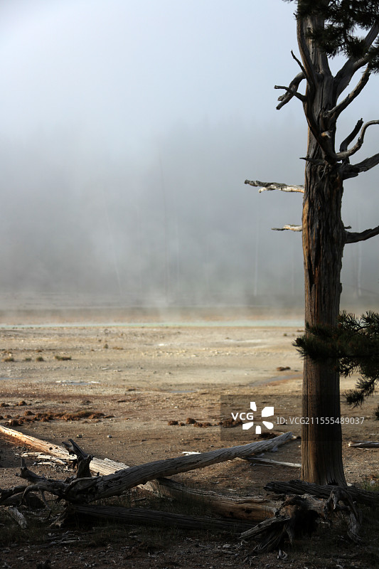 美国黄石国家地质公园风光图片素材