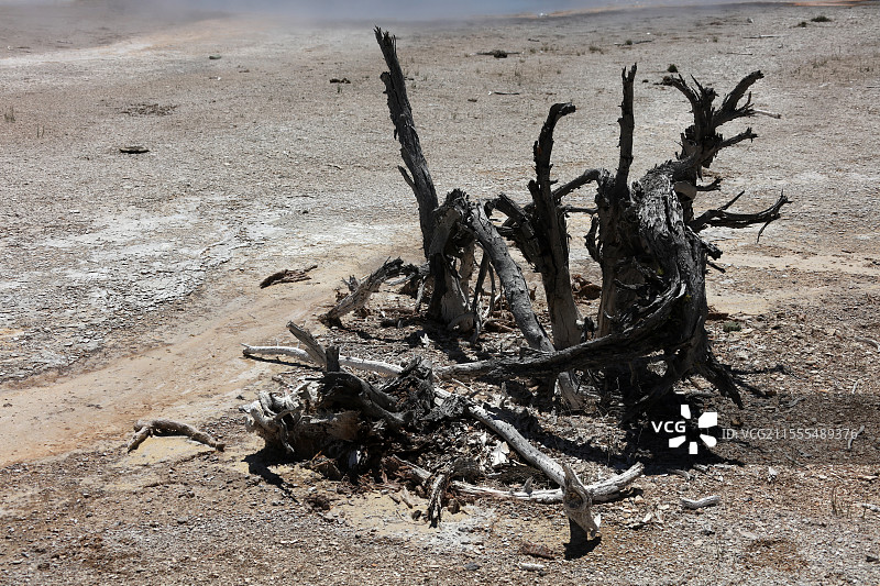 美国黄石国家地质公园风光图片素材