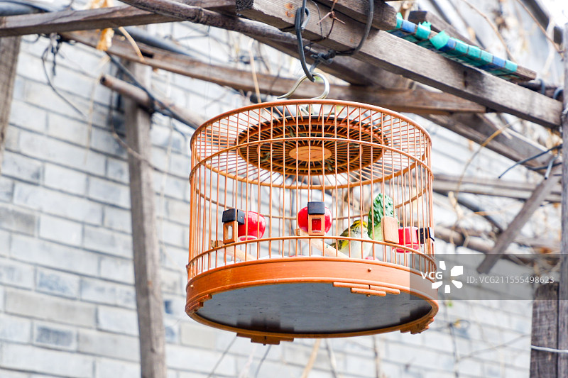 北京胡同里的鸟笼与小鸟图片素材