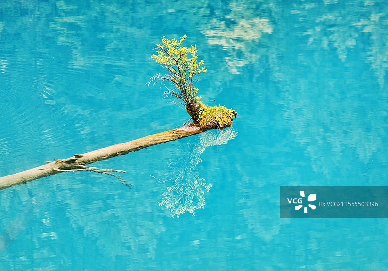 九寨归来不看水图片素材