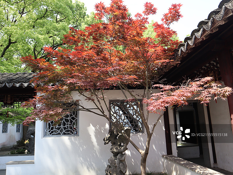 园林景致图片素材