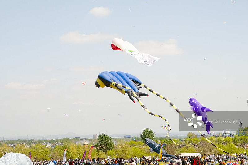 四月潍坊2024年潍坊风筝节纪实图片素材