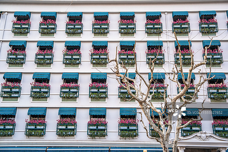 上海 淮海中路 漂亮房子 花窗 建筑线条 建筑设计 创意外观图片素材