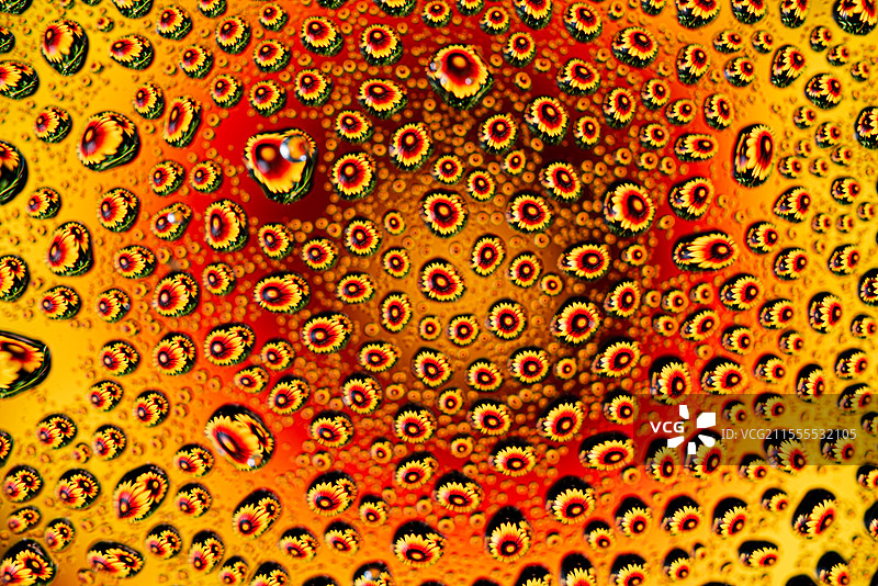 水滴微距摄影图片素材