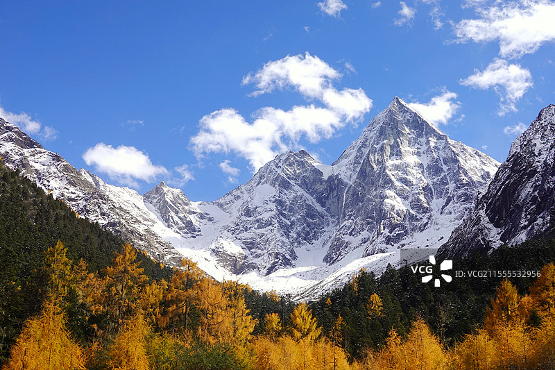 川西毕棚沟秋景图片素材