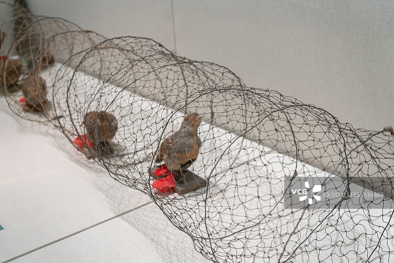 达斡尔族捕沙斑鸡网  近现代  达斡尔民族博物馆图片素材