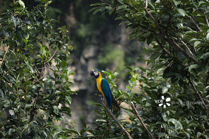 云台山秋景图片素材