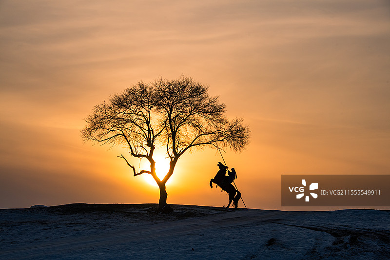 夕阳下独树旁草原英雄立马剪影图片素材