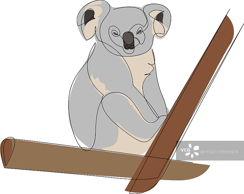 考拉的线条颜色图片素材