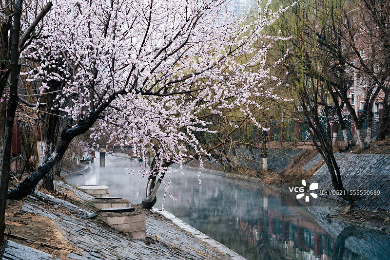 北京十里堡桃花溪春日美景图片素材