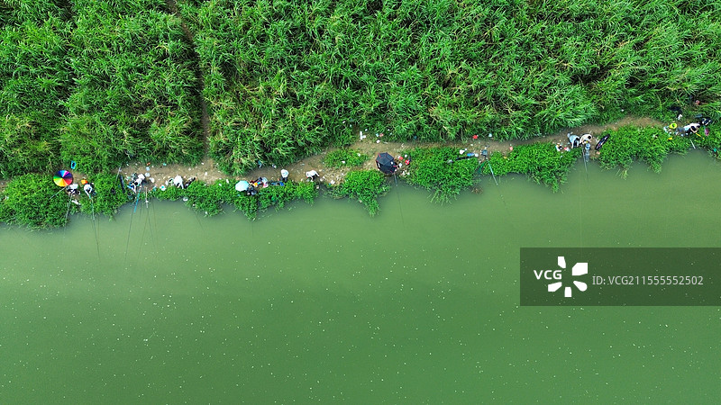 航拍光明茅洲河岸边钓鱼佬芦苇绿意盎然图片素材