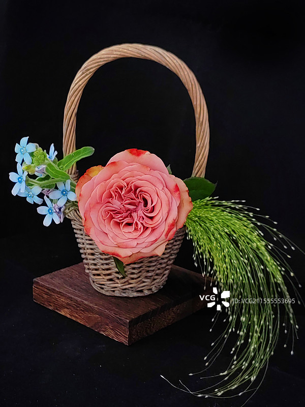 静物     黑色背景下的花束特摄镜头图片素材