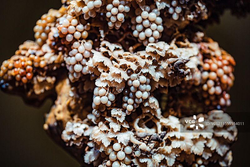 中国工艺美术馆石雕青田石雕葡萄山图片素材