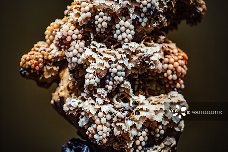 中国工艺美术馆石雕青田石雕葡萄山图片素材