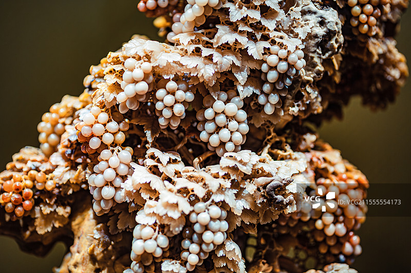 中国工艺美术馆石雕青田石雕葡萄山图片素材