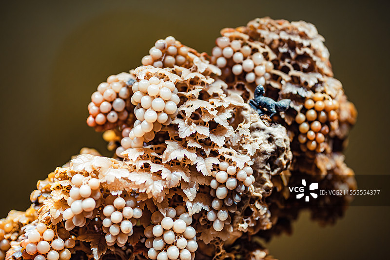 中国工艺美术馆石雕青田石雕葡萄山图片素材