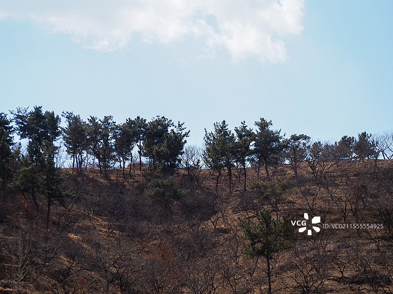 山间初春的色彩图片素材