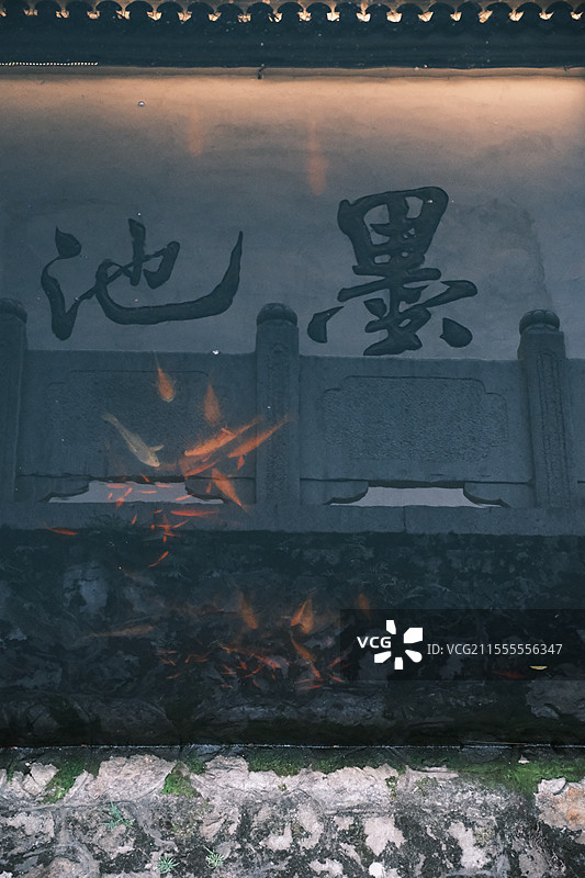 浙江温州王羲之墨池倒影金鱼图片素材