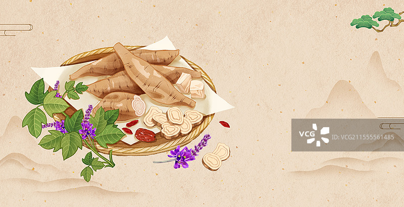 中国传统文化中医养生中草药药材医疗用品之葛根图片素材