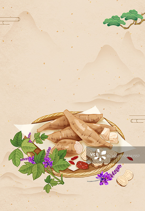 中国传统文化中医养生中草药药材医疗用品之葛根图片素材