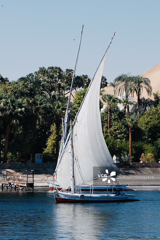 尼罗河上的白帆船图片素材