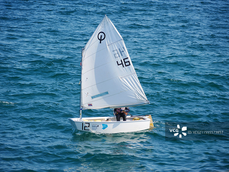 深圳海边的帆船图片素材