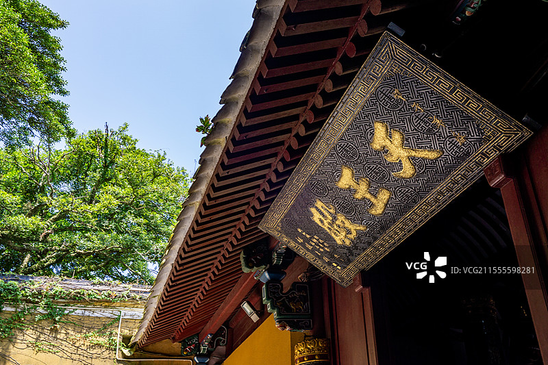 浙江舟山普陀山风景区慧济禅寺图片素材