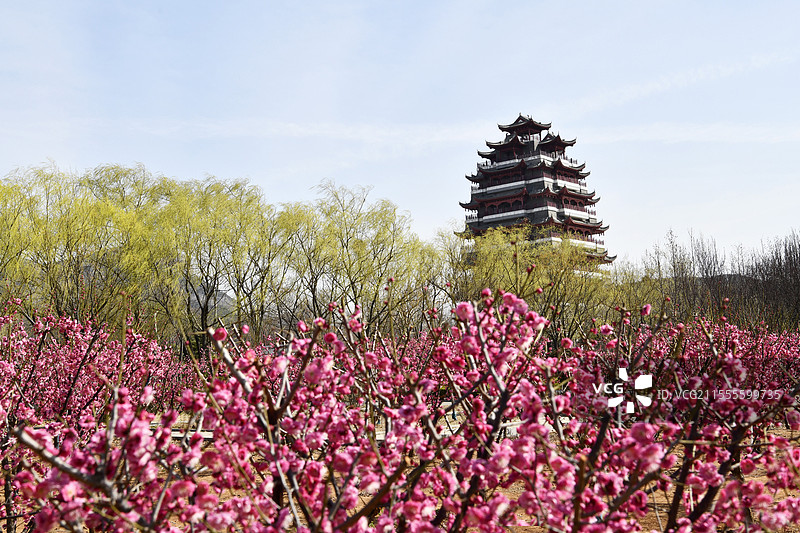 山东枣庄山亭区翼云阁旁花红柳绿春光美图片素材