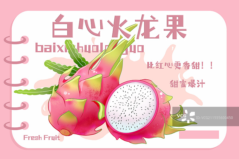 白心火龙果包装插画图片素材