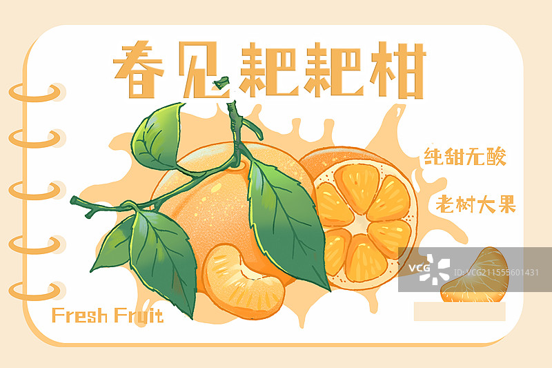 春见耙耙柑包装插画图片素材