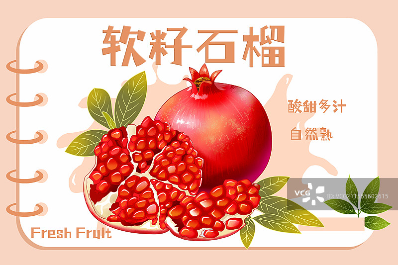 软籽石榴包装插画图片素材