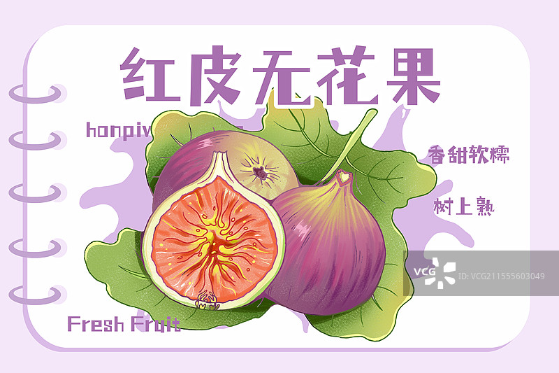 红皮无花果包装插画图片素材