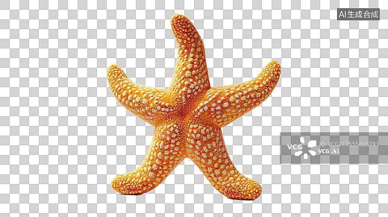 【AI数字艺术】毛毡风格的海星   橙色海星的海洋之美图片素材