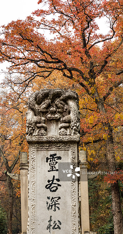 江苏南京灵谷景区灵谷深松碑刻秋色自然景观图片素材