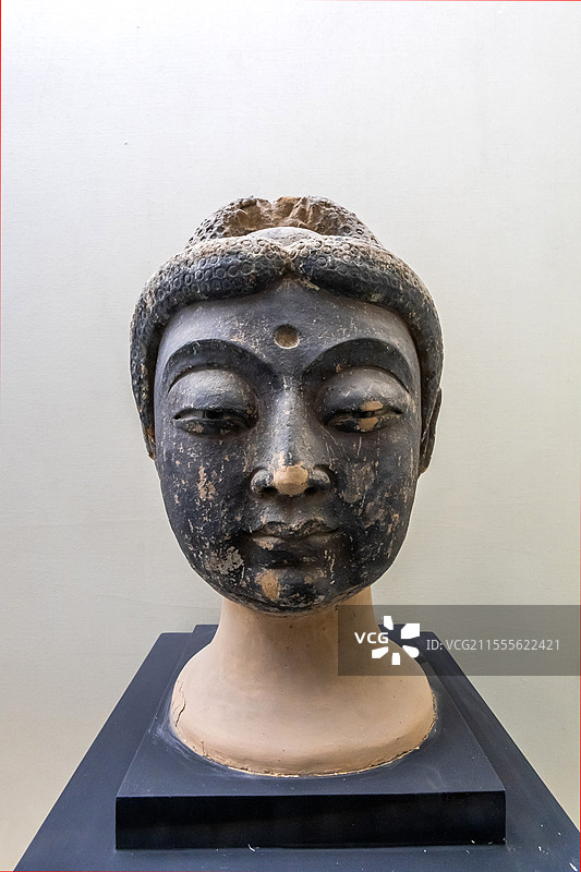 甘肃省博物馆佛头像唐代公元618-907年1985年甘肃省武威天梯山石窟出土图片素材
