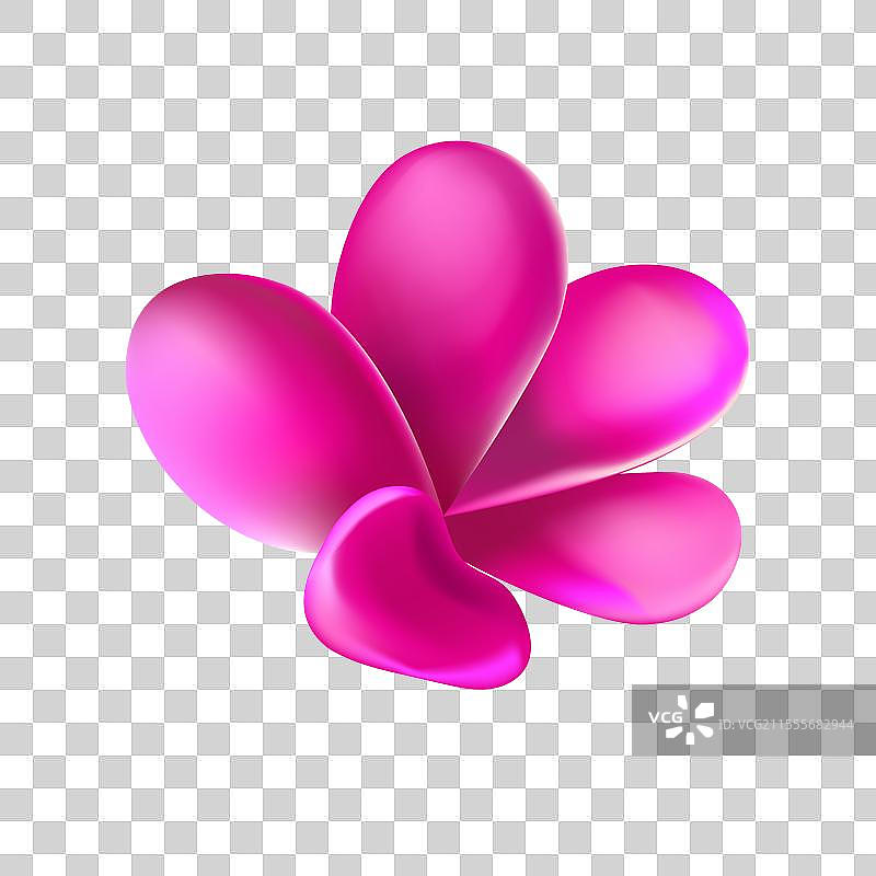 热带丛林花叶孤立元素组合图片素材