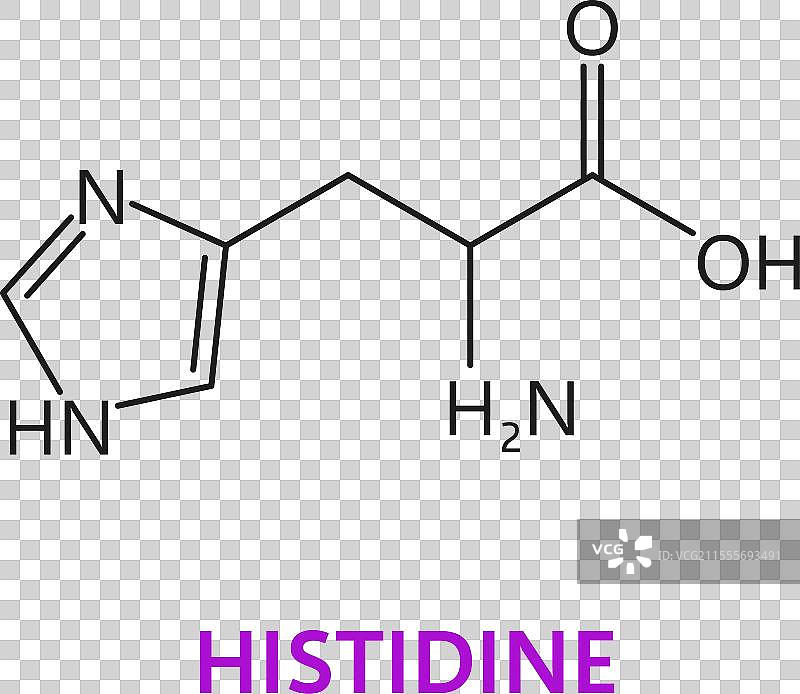 组氨酸分子的分子式图片素材