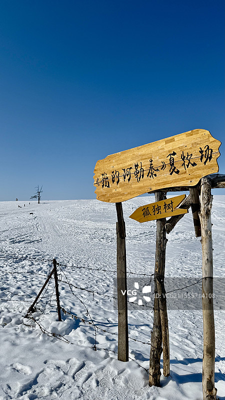 我的阿勒泰-孤独的树图片素材