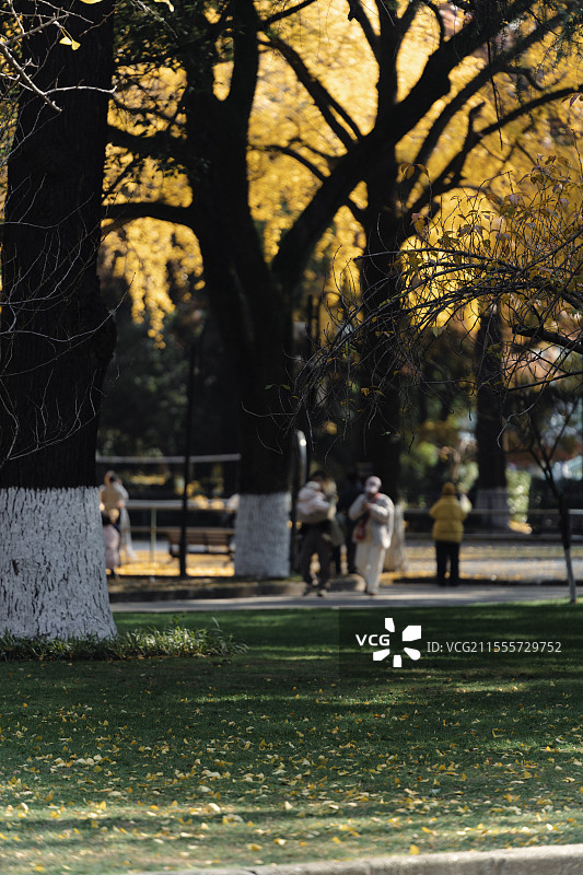 苏州大学图片素材