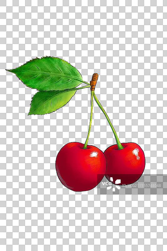 免抠图樱桃植物手绘插图图片素材