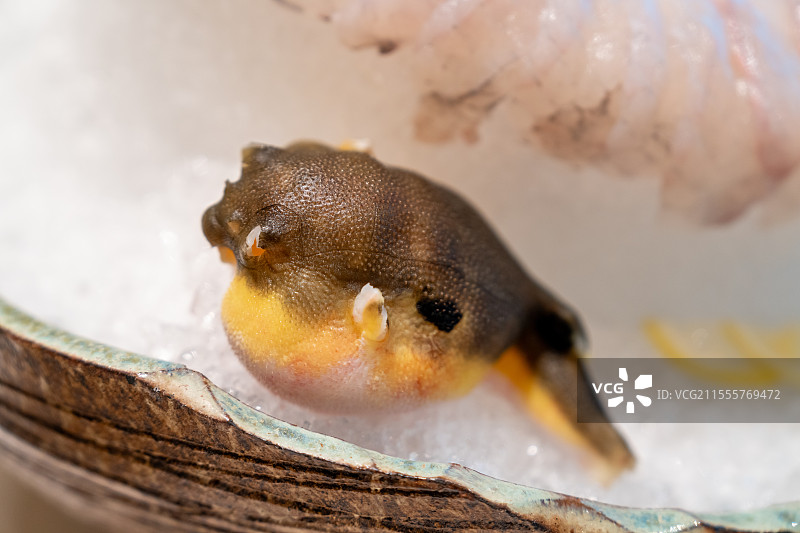 河豚料理图片素材