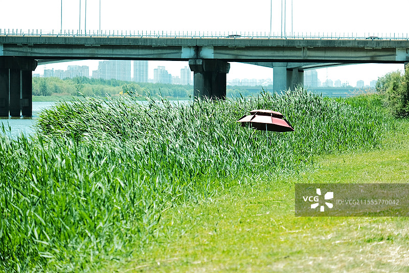天津市北辰区北辰郊野公园野餐图片素材