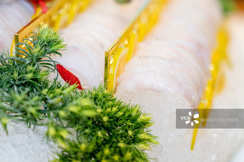 鲜椒河豚图片素材