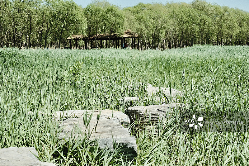 天津西青郊野公园图片素材