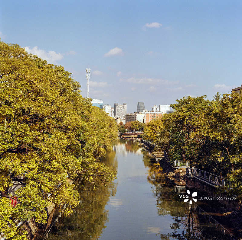 昆明大观河秋景图片素材