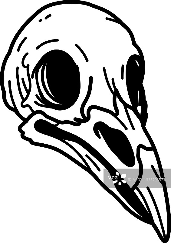 乌鸦头骨图片素材