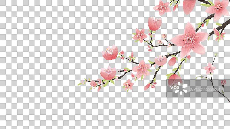 春天粉色桃花免抠元素图片素材